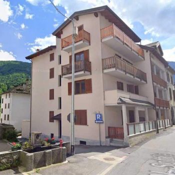 il cervo   scopello